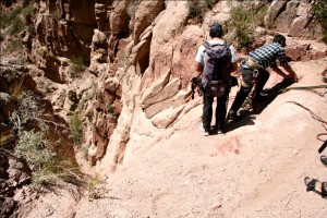 repelling 300x200 repelling i kategorien    Verdens bedste