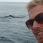 Verdens Bedste hvaler i Montanita Ecuador