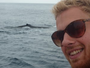 Verdens Bedste hvaler i Montanita Ecuador